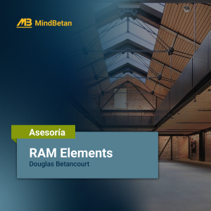 Asesorías | RAM Elements